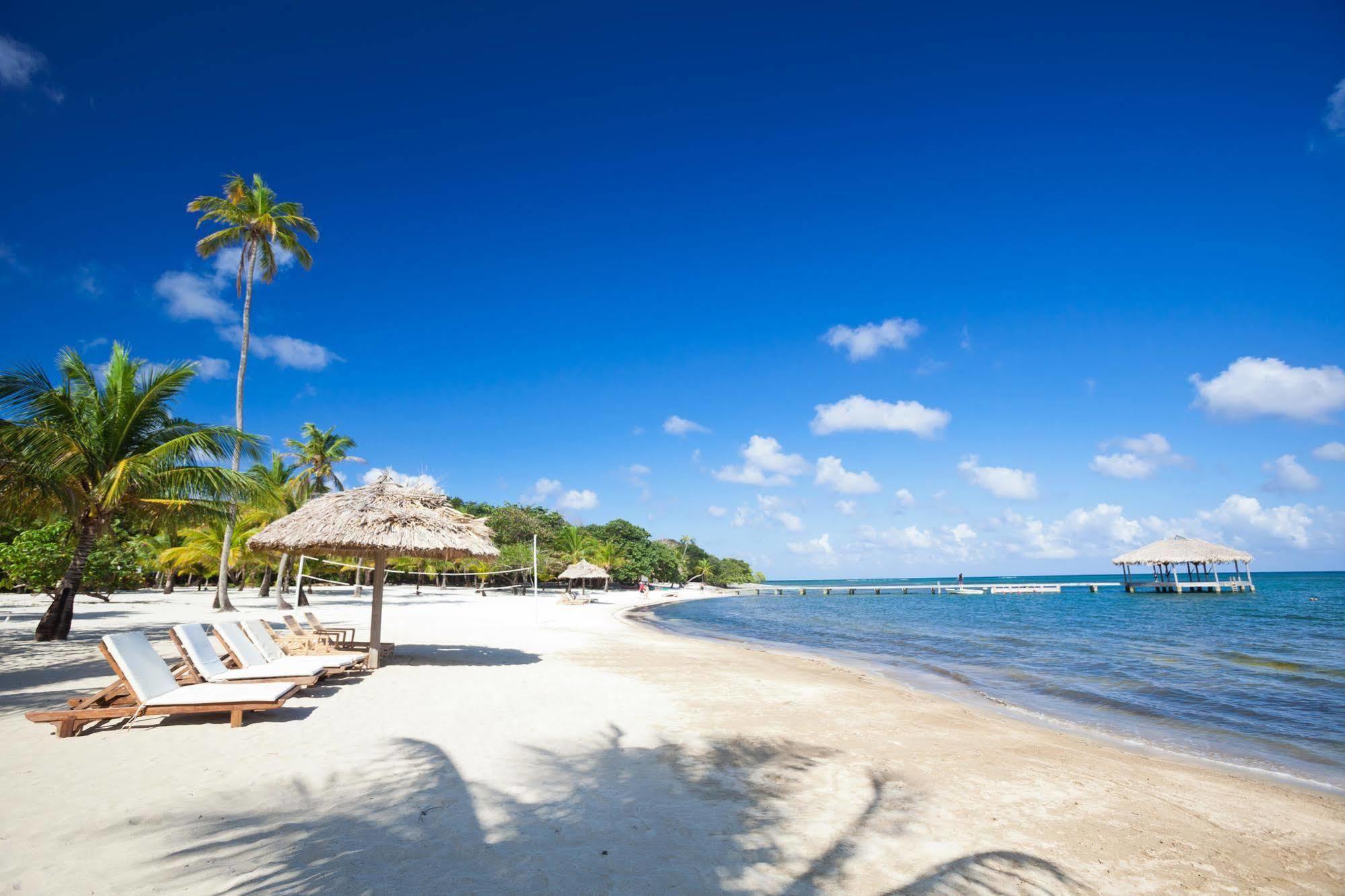 Casa Flores Palmetto Bay 외부 사진